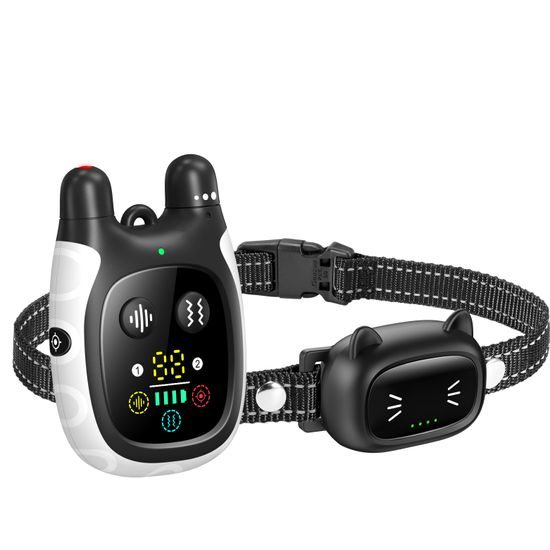 Reedog CP1 Trainingshalsband für Katzen