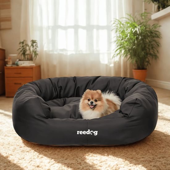 Reedog Hundebett Amazing Black