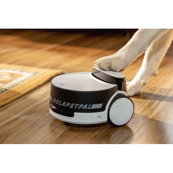 ROLA PetPal smart companion with AI