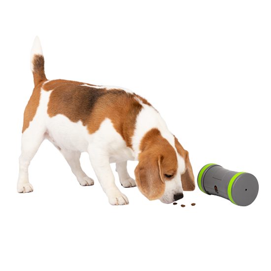 Elektronisches Spielzeug für Hunde PetSafe® Kibble Chase