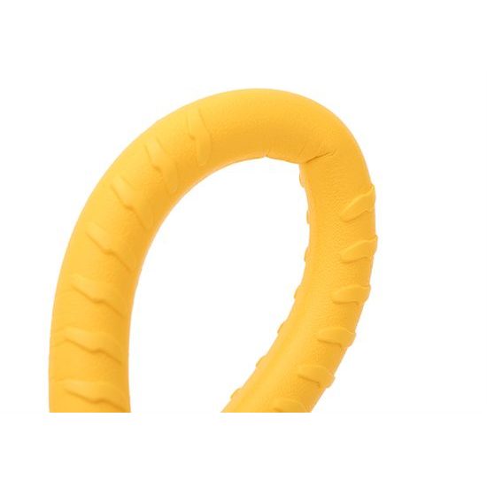 Reedog-Spielzeug gelber Ring