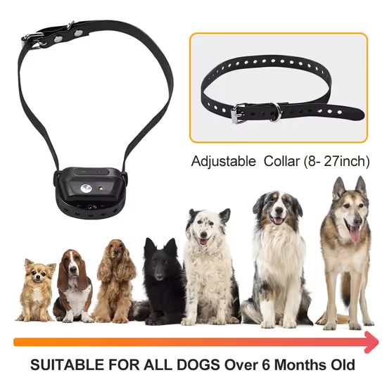 Reedog SP32