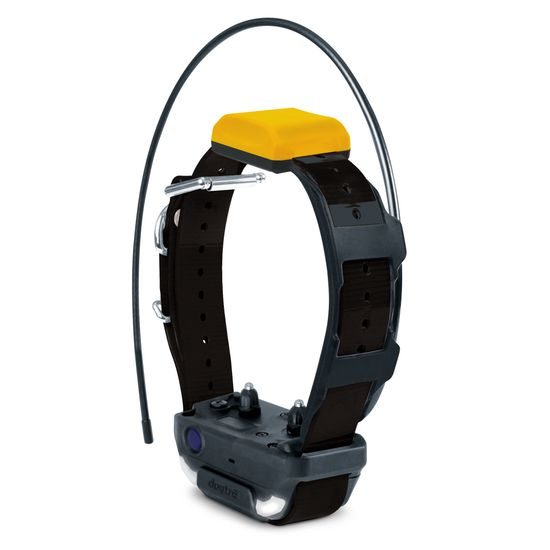 Dogtra Pathfinder 2 Mini collar y receptor