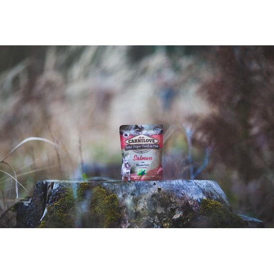 Carnilove Dog Pouch Paté Salmón con Arándanos para Cachorros 300 g