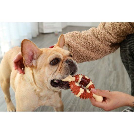 Reedog Bone, dental toy for dogs