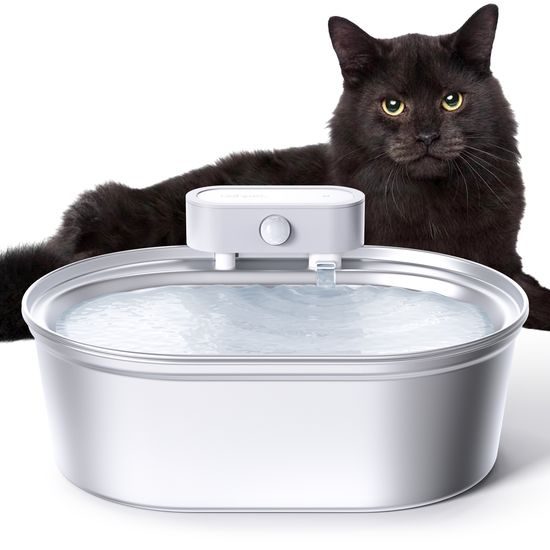 UahPet Zero