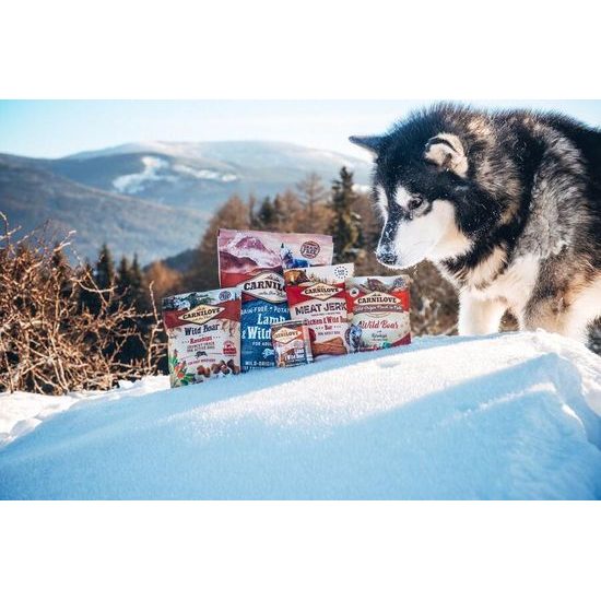 Carnilove Pouch Paté para Perros Jabalí con Escaramujo 300 g