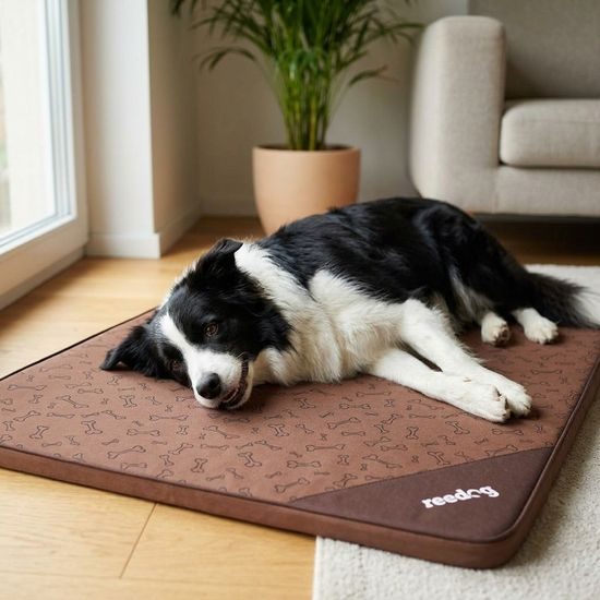 Reedog Podložka Thin Brown Bone