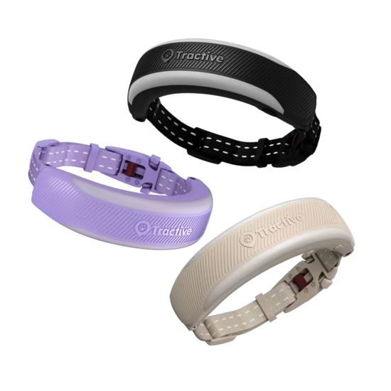 Tractive GPS CAT 6 Mini