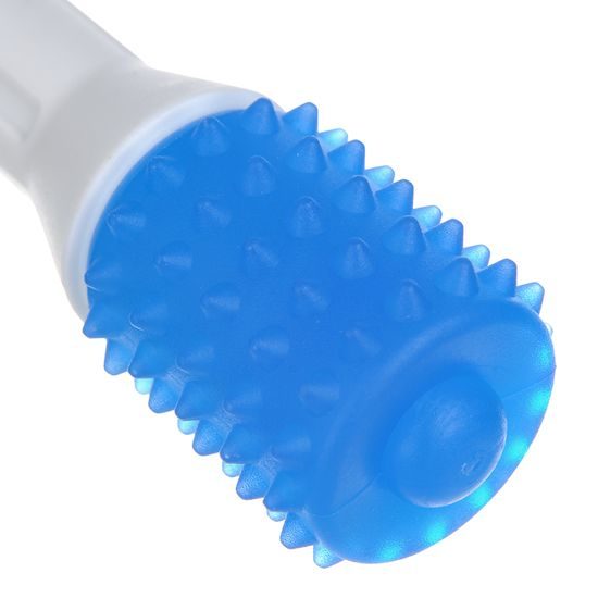 Reedog dental toy