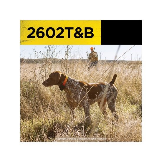Dogtra 2602 T&B para dos perros