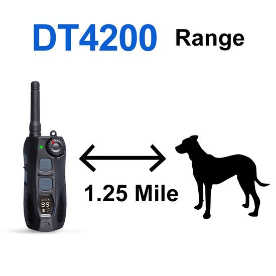 Reedog DT-4200 kiképző nyakörv