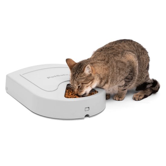 PetSafe®, 5-Meal Pet Feeder