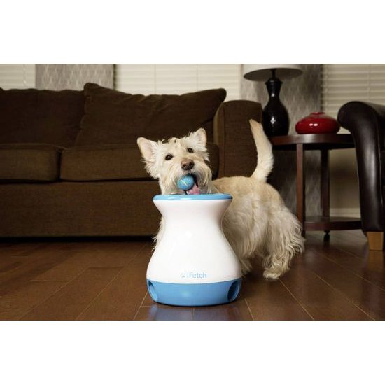 iFetch Frenzy ball launcher