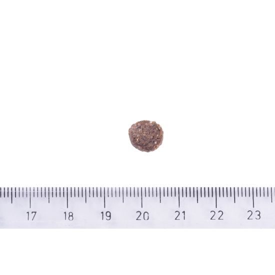 Brit Care Dog Sustainable Puppy Chicken & Insect 1 kg