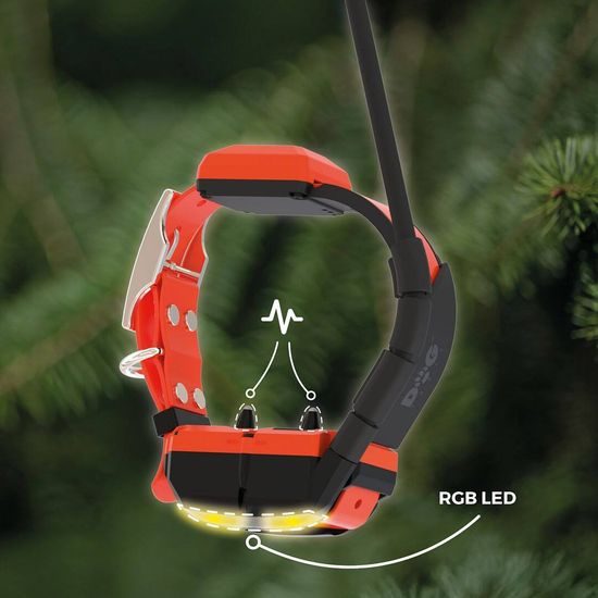 GPS obojek pro psa s výcvikovým modulem DOG GPS X40T