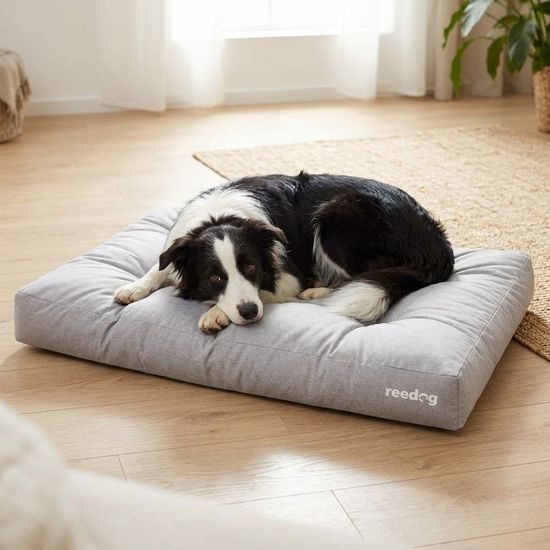 Reedog Matrace Grand Light Ash