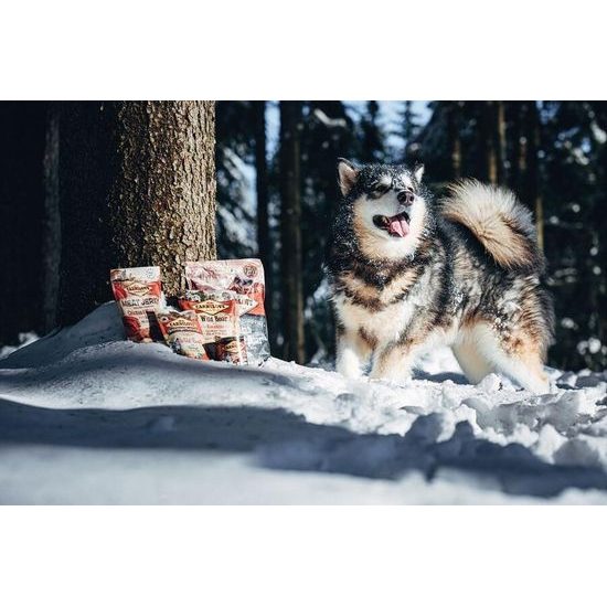 Carnilove Pouch Paté para Perros Jabalí con Escaramujo 300 g