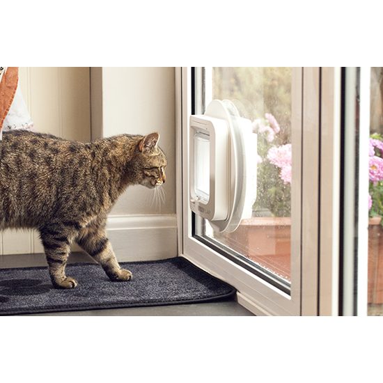 SureFlap door with microchip for cats