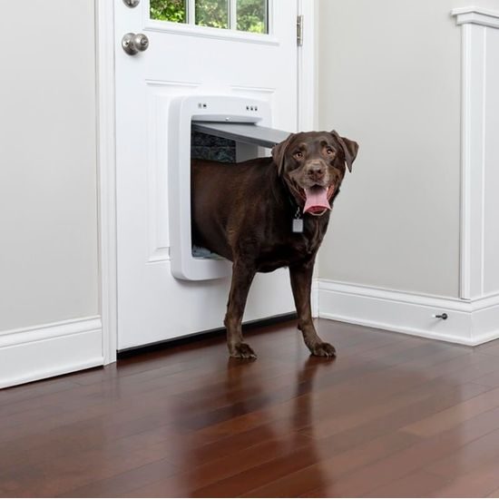 PetSafe® SmartDoor Connected drzwiczki dla psów i kotów