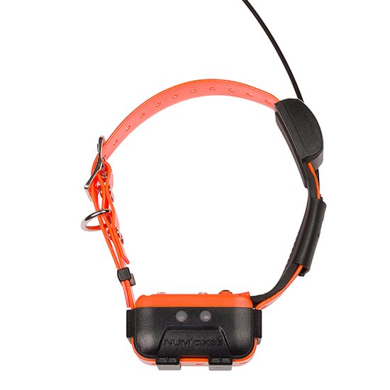 Ersatzhalsband und Empfänger für Canicom GPS2