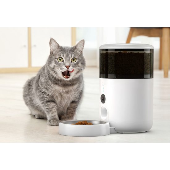 Dispensador de comida Petoneer NutriVue con cámara