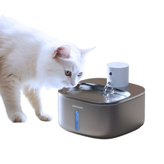 Petwant W4S1 drahtloser Trinkbrunnen für Haustiere
