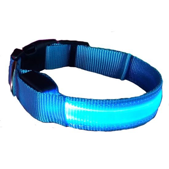 Collar luminoso Reedog Colour para perros pequeños, medianos y grandes