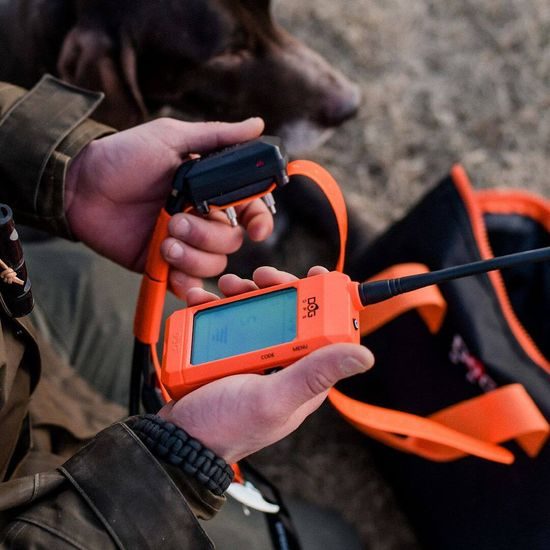 Shorter collar for another dog - DOG GPS X30T Short