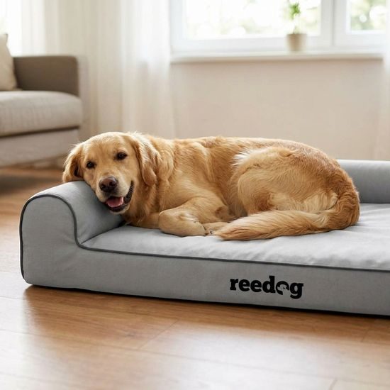 Reedog Pelíšek Best Oxford Light Gray