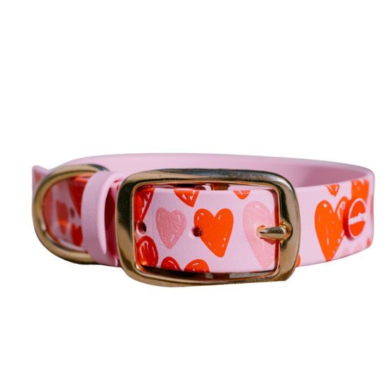 Reedog Gassi-Set Herzen BioThane HALSBAND + LEINE