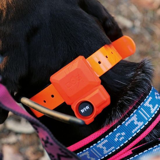 GPS obojek pro psa se ZVUKOVÝM LOKÁTOREM DOG GPS X40B