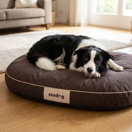 Reedog Matrace Round Brown