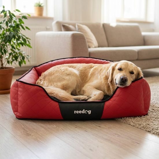 Reedog Pelíšek Red Sofa