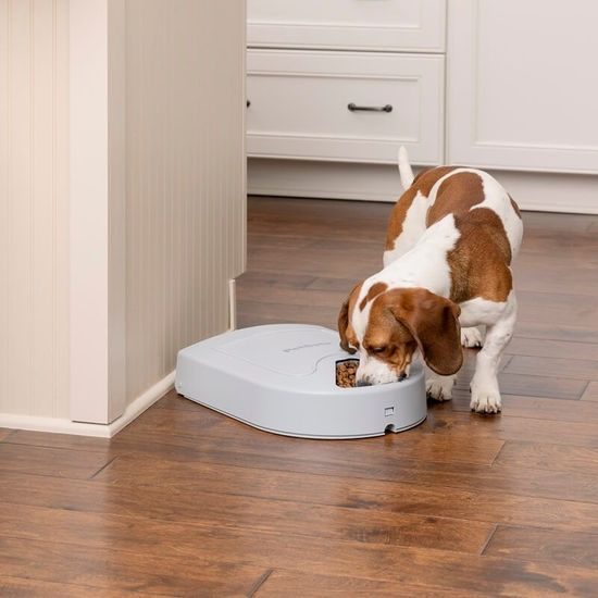PetSafe®, 5-Meal Pet Feeder