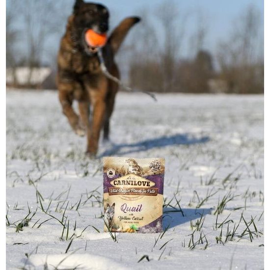 Carnilove Dog Pouch Paté Quail with Yellow Carrot 300 g