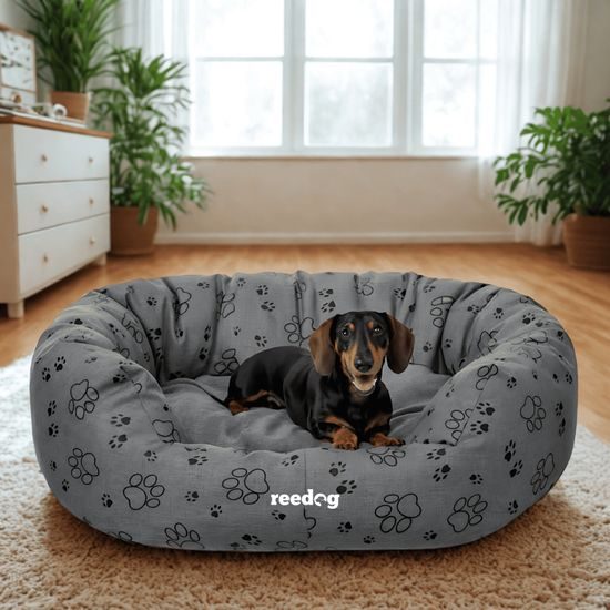 Reedog Hundebett Amazing Grafit Paws