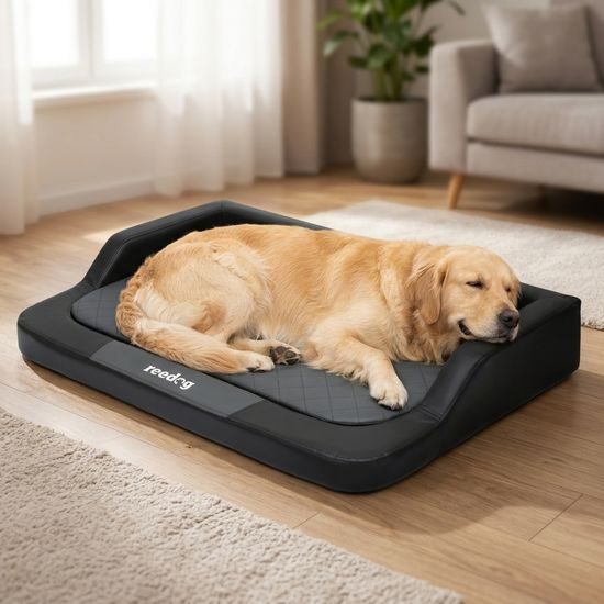 Reedog Pelíšek Luxury Black