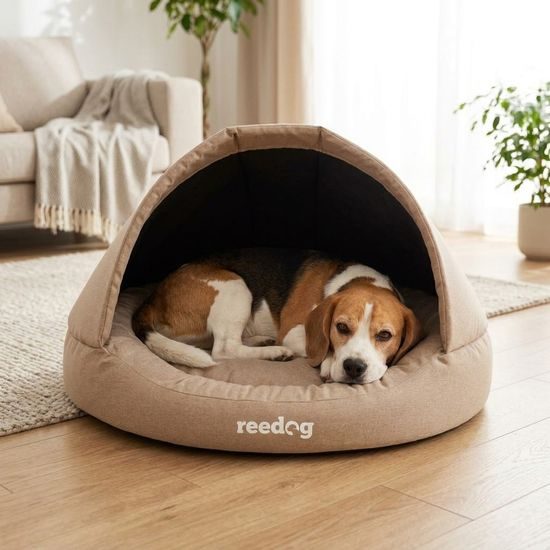 Reedog Kukaň Ramzes Beige