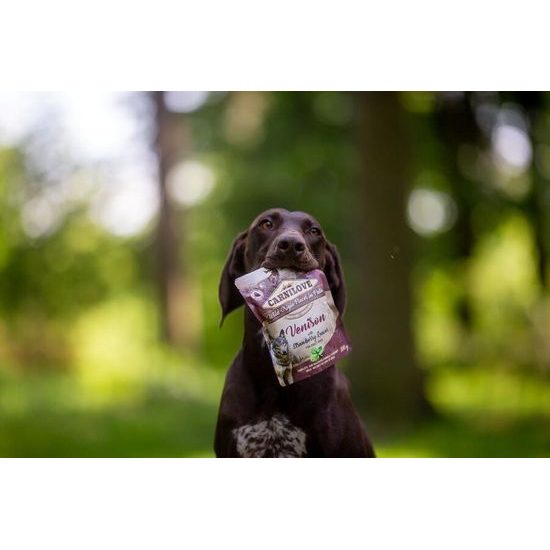 Carnilove Pouch para Perros Paté de Venado con Hojas de Fresa 300 g
