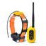 Dogtra Pathfinder 2