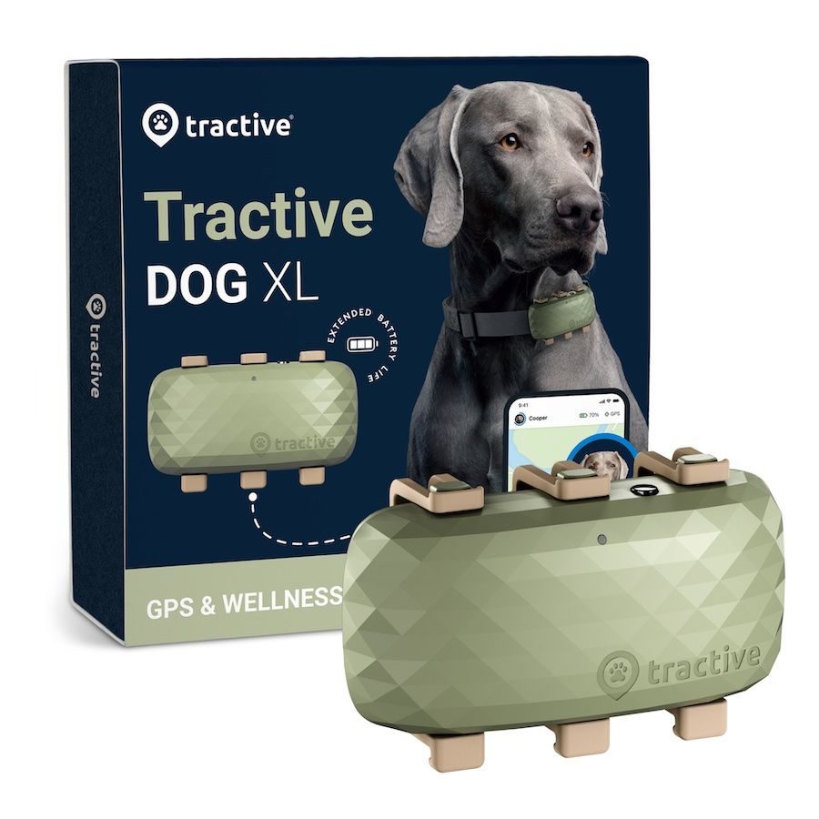 Tractive GPS DOG XL pro psy