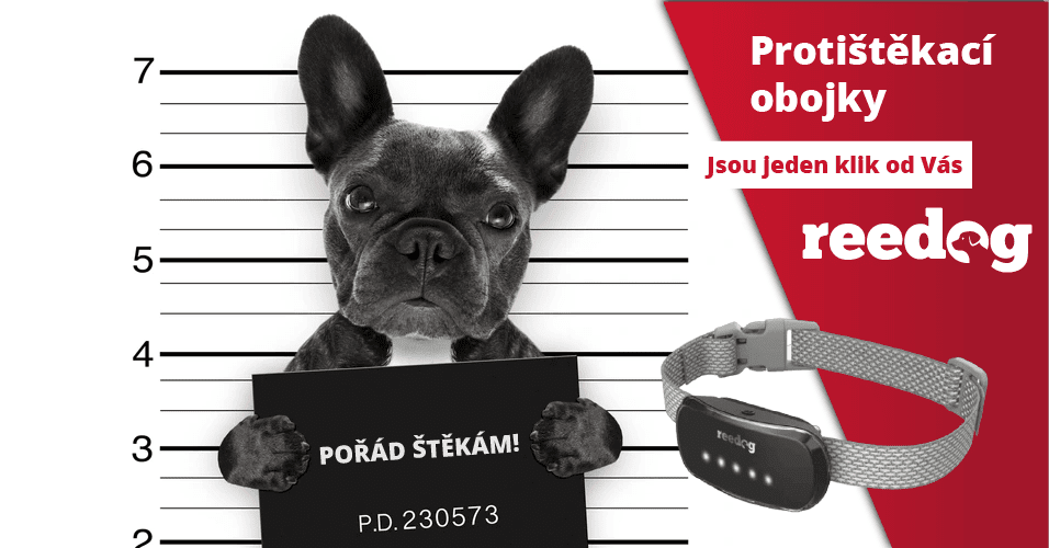Protištěkací obojky