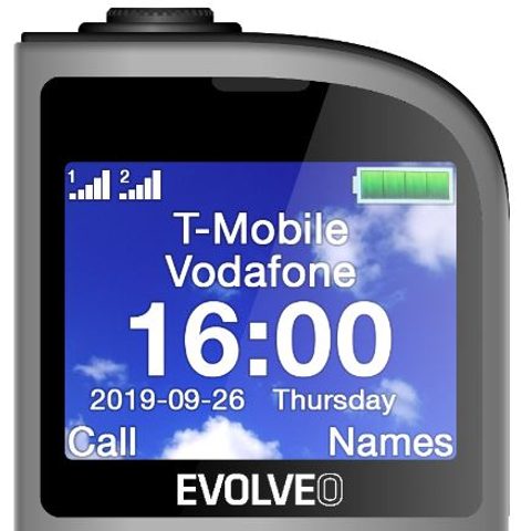 EVOLVEO EasyPhone FM, mobilný telefón pre seniorov s nabíjacím stojanom (strieborný)