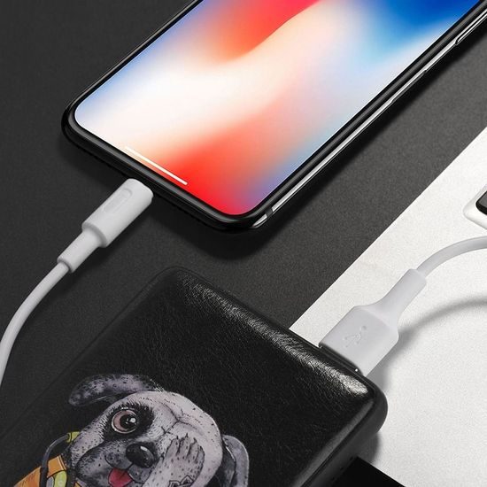 Datový / nabíjecí kabel Lightning 8-pin X25 bílý - HOCO