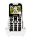 EVOLVEO EasyPhone XD White