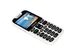 EVOLVEO EasyPhone XD White