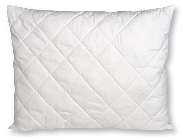 Polštář Aloe Vera