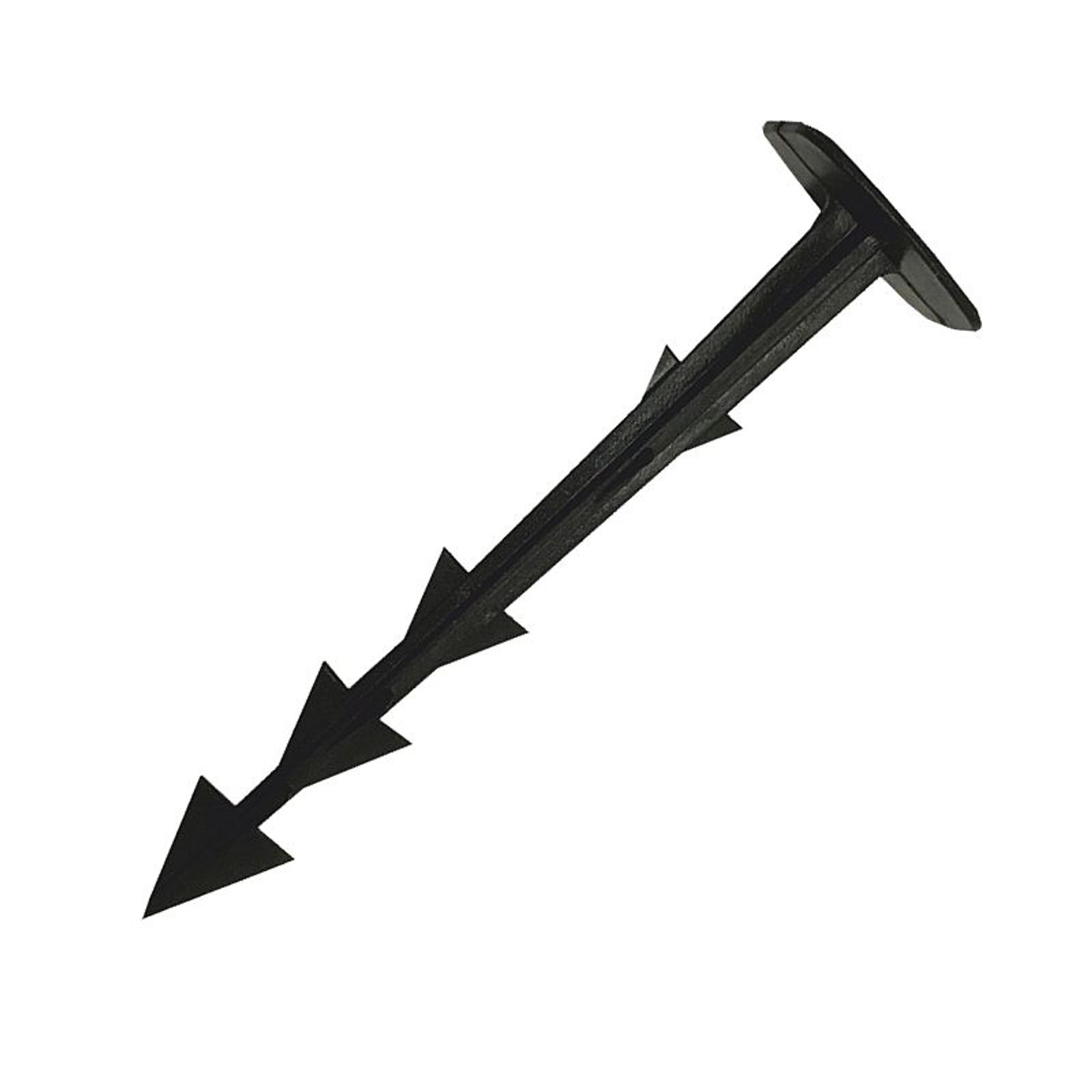 306970.jpg