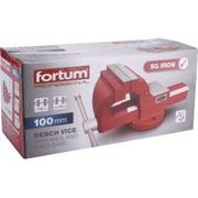 FORTUM SVĚRÁK S KOVADLINOU, 100MM, SG IRON, 4752612 - SVĚRÁKY - DÍLNA A GARÁŽ